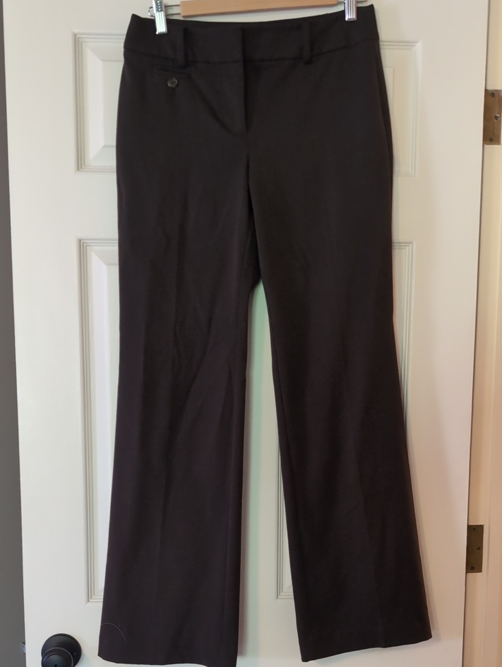 Ann Taylor Brown Boot-Cut Dress Pants 2 Curvy